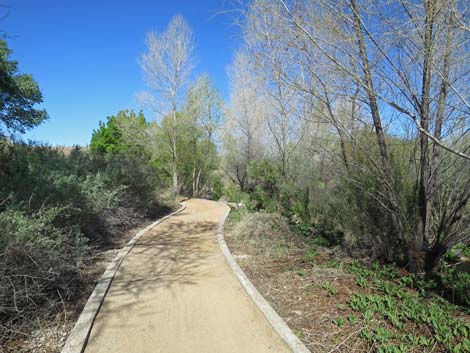 Warm Springs Natural Area