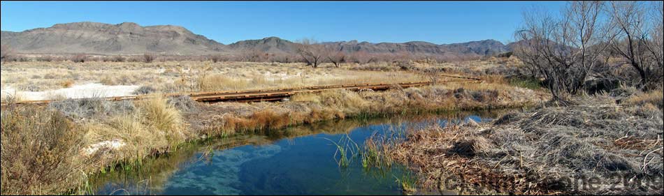 Ash Meadows National Wildlife Refuge