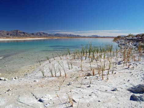 Crystal Reservoir