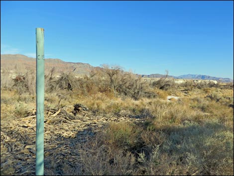  Shoshone Aqua Birding Trail