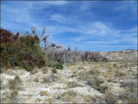 Aqua Birding Trail