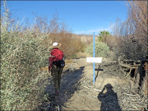 Shoshone Blue Birding Trail