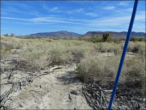 Blue Birding Trail