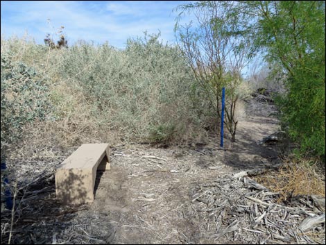 Blue Birding Trail