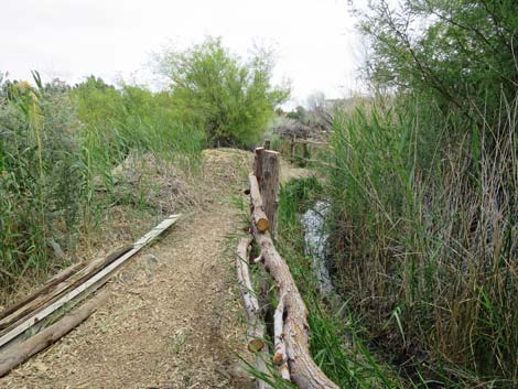 Swimming Pool Trail