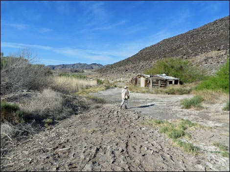 Swimming Pool Trail