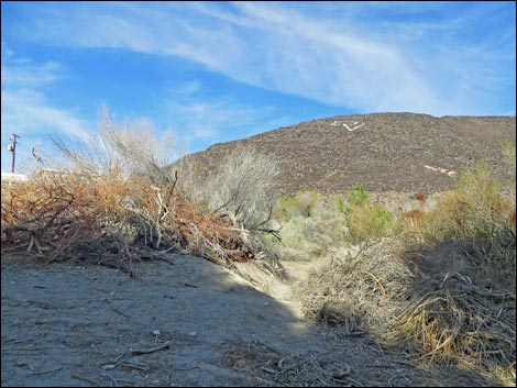 Swimming Pool Trail