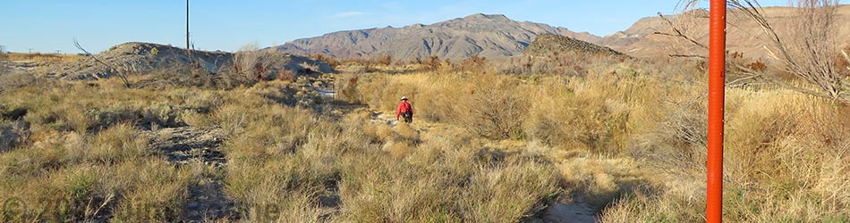 shoshone