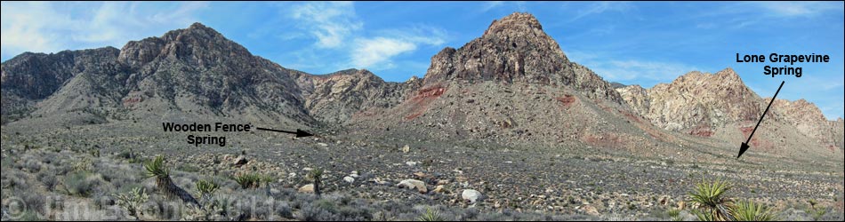 Birding Around Willow Springs