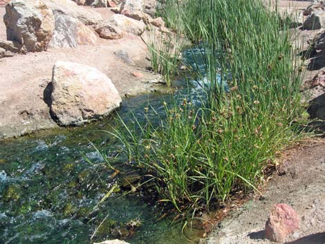 Boulder City Veterans Memorial Park