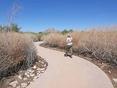 Duck Creek Trails