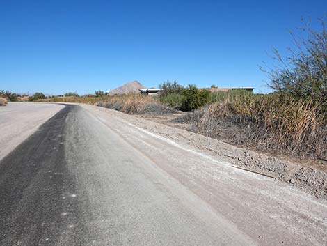 Dragonfly Divide Trail