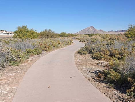 Quail Run Trail