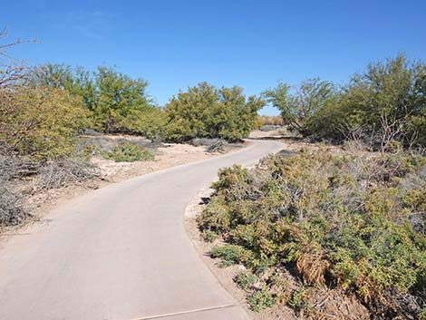 Quail Run Trail