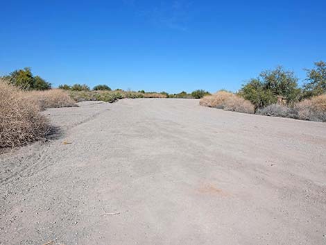 Quail Run Trail