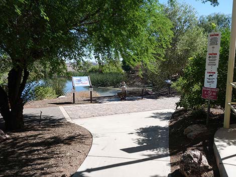 Henderson Bird Viewing Preserve