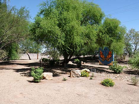 Henderson Bird Viewing Preserve