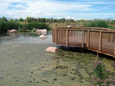 Wetlands Park Nature Preserve