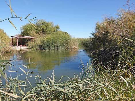 Clark County Wetlands Park