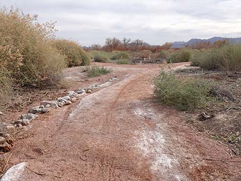 Clark County Wetlands