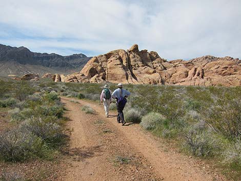 Two-Track Dirt Roads