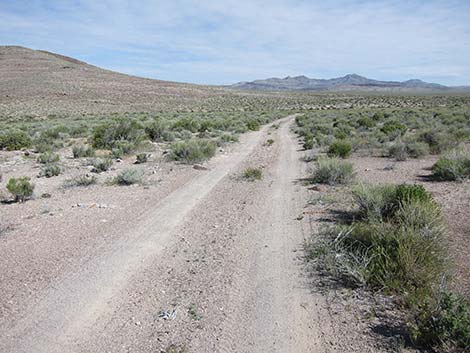 Two-Track Dirt Road