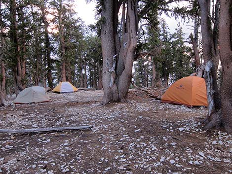 Leave No Trace Camping