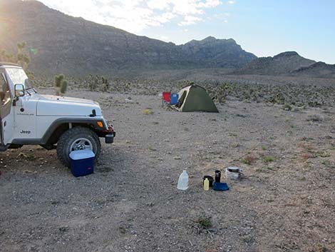 Leave No Trace Camping