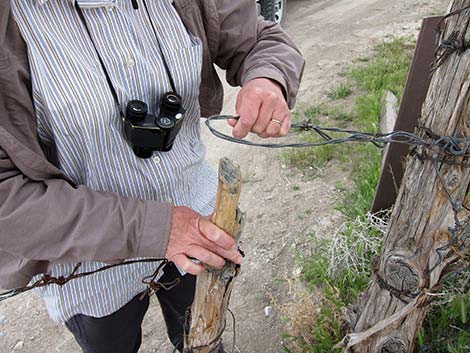 Wire Gate