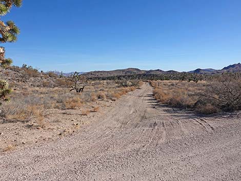 Grasslands Trail