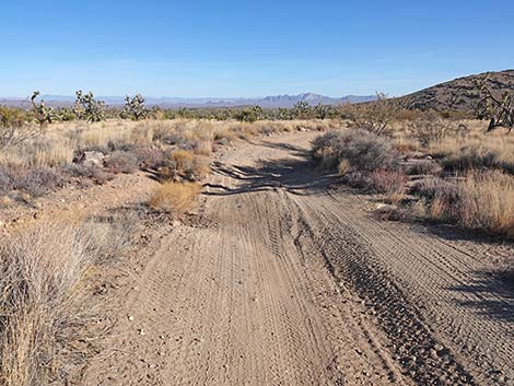 Grasslands Trail