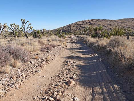 Grasslands Trail