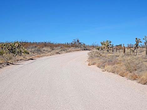 Grasslands Trail