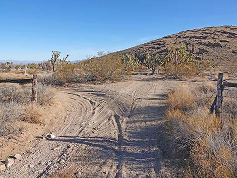 Grasslands Trail 