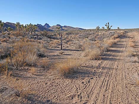 Grasslands Trail