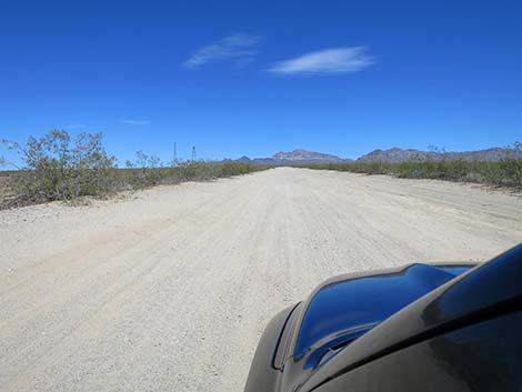 Christmas Tree Pass Road