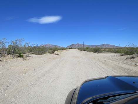 Christmas Tree Pass Road