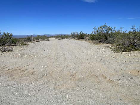 Christmas Tree Pass Road