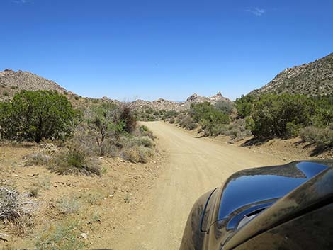 Christmas Tree Pass Road