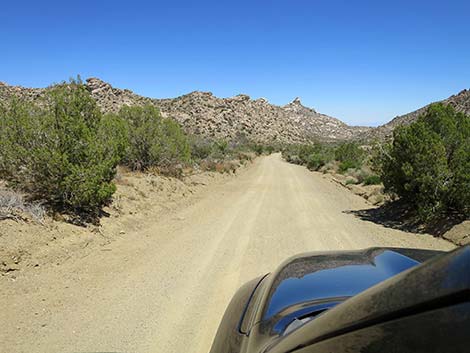 Christmas Tree Pass Road