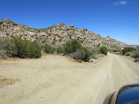 Christmas Tree Pass Road