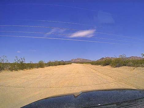 Christmas Tree Pass Road