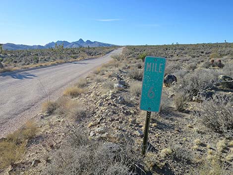 Walking Box Ranch Road