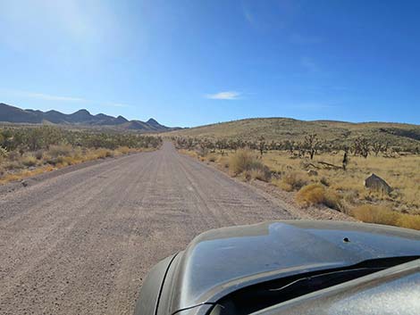 Walking Box Ranch Road