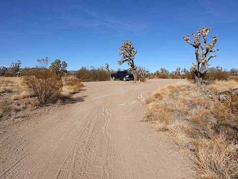 Wagon Road Trailhead