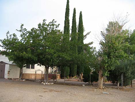 Walking Box Ranch, Outside the Caretaker Residence