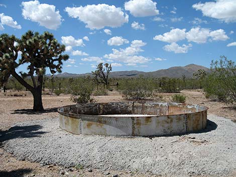 Walking Box Ranch, Grounds