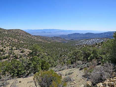 Logan Canyon Campsite