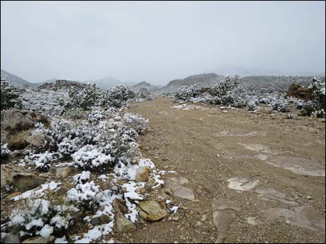 Paiute Rock