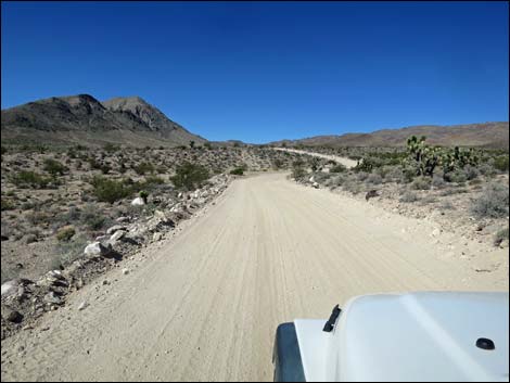 Badger Valley Road